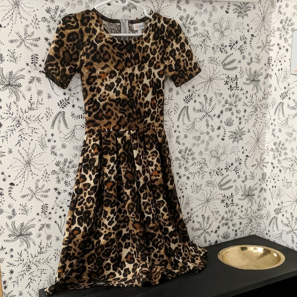 LuLaRoe Ameila Dress